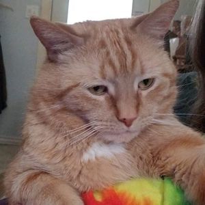 Meet your Posher, Jeanne